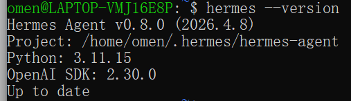 Hermes 部署截图